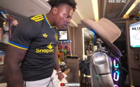 网红“甲亢哥”直播暴力损毁人形机器人“Rizzbot”，后者开发公司起诉索赔