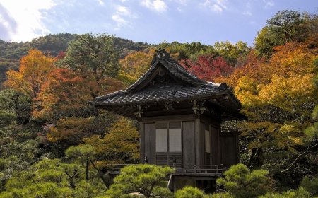 中資鯨吞日本佛寺「一條龍」控制死亡產業鏈　暗黑目的遭踢爆