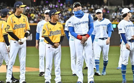 中華隊經典賽前大巨蛋迎戰軟銀、火腿　票價與完整賽程下周揭曉