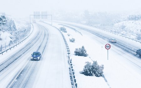 连霍高速车辆追尾致9死7伤，应急管理部派工作组赶赴现场