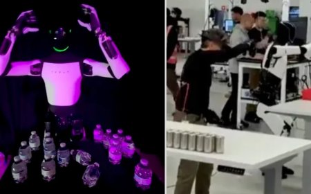 特斯拉 Optimus 人形机器人演示时摔倒，手忙脚乱“摘头显”露了馅