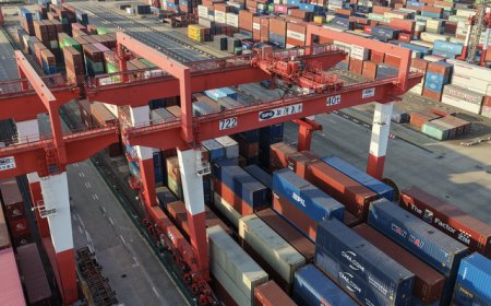 外需韧性叠加低基数效应，11月中国出口增速回升至5.9%