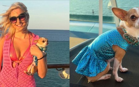 TikTok’s Cutest Traveling Duo, Bruiser And Elle Woods, Just Took Over A Cruise Ship