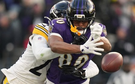 Questionable call takes crucial TD away from Ravens in close loss to divisional rivals