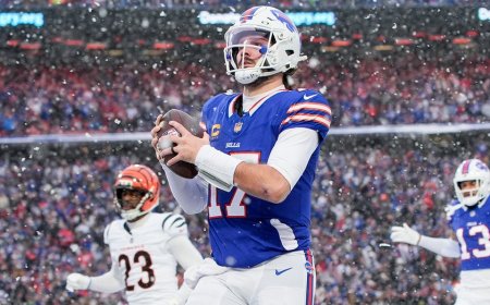 Bills rally with 21 points in 4th quarter to defeat Bengals in snowy Buffalo