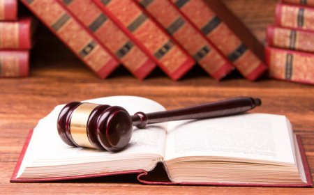 上市计划已中止两月，广东南海农商行大额股权又将被拍卖，三季报营收净利双降