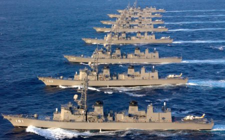 解放军报刊文：日本开历史倒车只能是自取灭亡