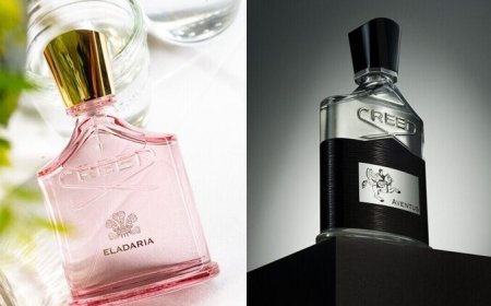 CREED香水誰最紅？經典阿文圖斯、銀色山泉、玫瑰香絕對必聞