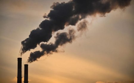 欧盟气候监测机构基本确定 今年为有记录以来第二热年