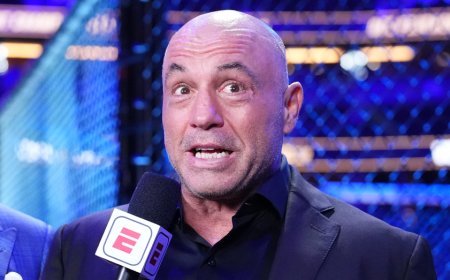 Joe Rogan and MMA fighter warn upcoming White House UFC event poses serious security and safety concerns
