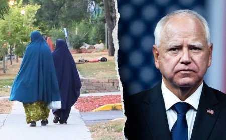 Expert reveals key factor that led to massive Minnesota fraud scheme