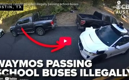 闯红灯加塞、碾猫撞狗 无人驾驶出租车闯祸不断