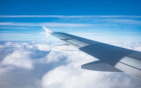 全球航空公司明年净利润预计将创410亿美元历史新高