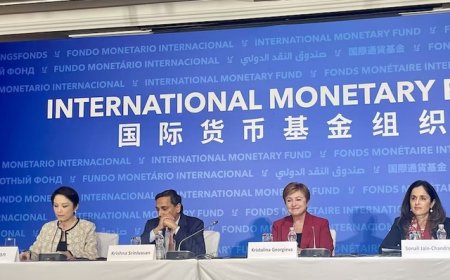 IMF上调今明两年中国经济增速预期，肯定中国政府促消费政策