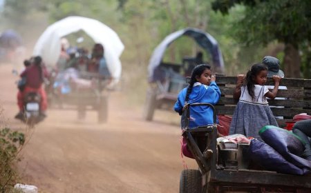 特朗普称将致电泰柬领导人 要求双方停火