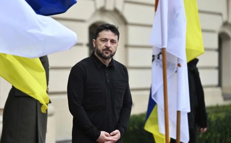 泽连斯基：乌克兰不需要其他国家施压举行选举