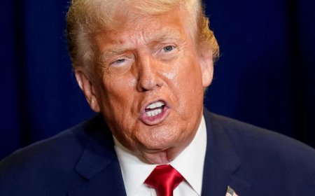 反驳特朗普涉欧言论 联合国称欧洲人权政策成就巨大