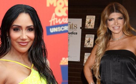 Melissa Gorga Reveals Major Next Step In Reconciliation With Teresa Giudice After Years Of Estrangement