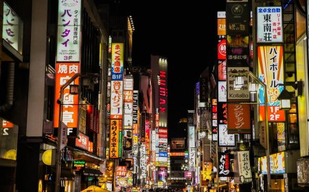 中國人在日本犯下刑事案件頻傳　慣竊被逮時狂言日本是「扒手天堂」