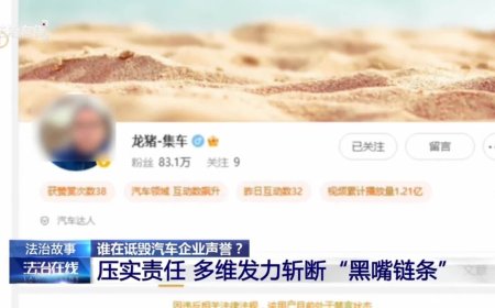 央视起底汽车行业网络黑嘴运作模式：比亚迪、长城汽车、小鹏均被侵害名誉权