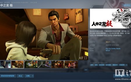 世嘉《如龙 极》、《如龙 极 2》PC 版新增简体中文：Steam 国区 98 元起，玩家评测“褒贬不一”