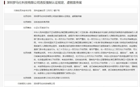 因违反强制认证规定、虚假宣传案，罗马仕被罚没超 124 万