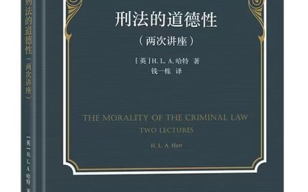 钱一栋读《刑法的道德性》｜刑法不能不讲道德，不能太讲道德