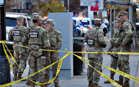 SEN TOM COTTON: Alleged Afghan attack on Guardsmen was preventable. We must do better next time