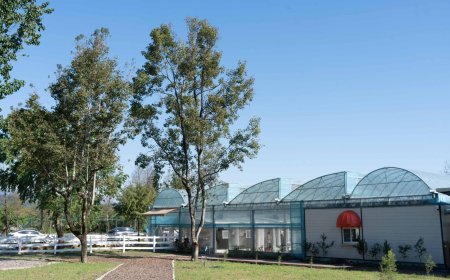 宜蘭首座「文青溫室 × 動物互動 × 手作體驗」 農場啟動歲末試營運