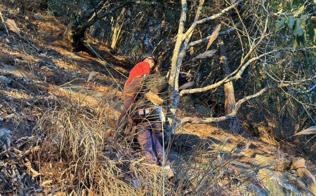 4人攀東卯山抄捷徑迷路！1人滑落30米2人困峭壁　勇消成功救援