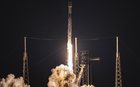 SpaceX敲定内部股票交易 估值约达8000亿美元
