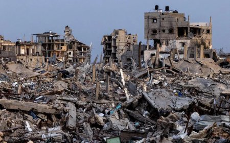 消息：美下周召集会议 最快1月部署加沙国际稳定部队