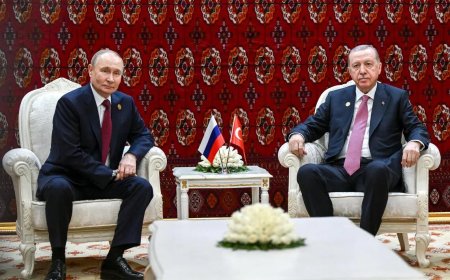 土总统吁俄乌有限停火 重点针对港口和能源设施