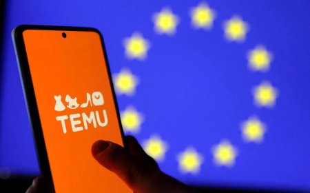 欧盟同意征收3欧元小包裹税 应对中国商品泛滥