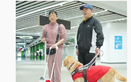 深圳地铁智能导盲犬“小蒜”上线：可自主规划路径、精准导航、视觉识别
