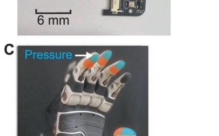 赛博朋克义体雏形：AI 让操控仿生手从“手动挡”变“自动挡”