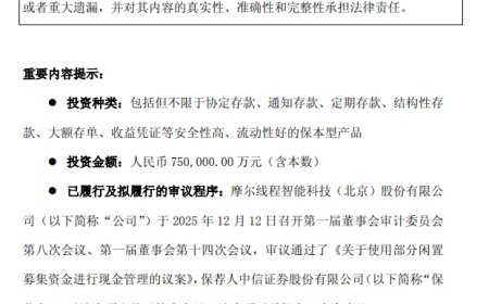 摩尔线程回应“ 75 亿元闲资做理财”：实际金额明显小于上限，绝不会因现金管理影响募投项目的正常实施和公司主营业务的正常发展