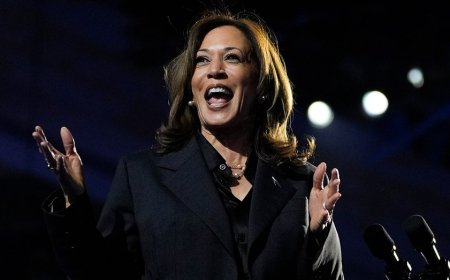 Harris thanks supporters for 'standing up for democracy' at annual DNC meeting