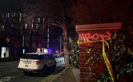 美国布朗大学发生枪击事件 多人中弹