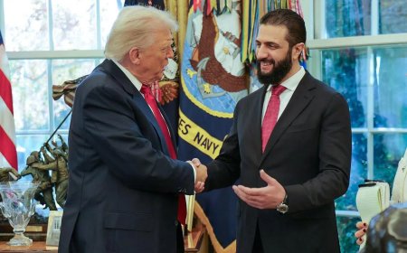 巡逻期间遭枪击 叙安全部队和美军多人受伤