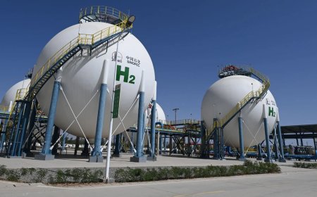 锅具里的“不粘锅涂层”，竟能让制氢效率大涨 40%