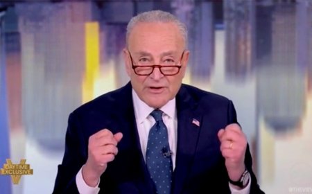 Chuck Schumer knows how to fix Somali fraud. He should just ask … Chuck Schumer