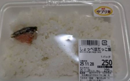 鮭魚便當「魚片僅拇指大」！他開吃20分鐘傻了：白飯不夠