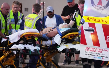 快訊／澳洲海灘槍擊10死！2槍手朝人群開槍　路人奪槍畫面曝光