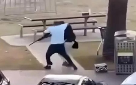 邦迪滩枪击案：水果店老板勇夺枪 被誉为英雄