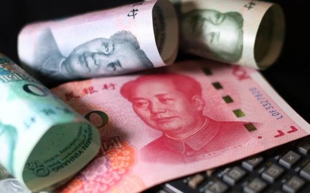 离岸人民币债券再创新高 发行规模连增八年