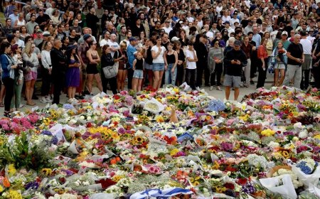 悉尼邦迪海滩血案致15死 澳洲枪支管制面临全面检讨