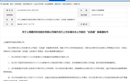 冲刺港股，国产 GPU 公司壁仞科技完成境外上市备案