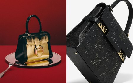 包開箱／Delvaux年末壓軸美包！Brillant金光渲染、Cool Box星點冬日奢華