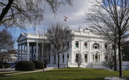 特朗普把多七国包括叙利亚 列全面禁止入境名单